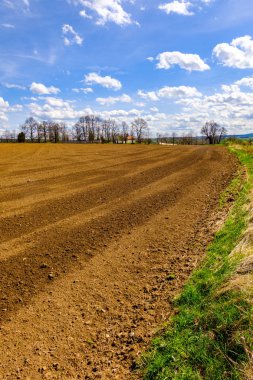 Prag'ın kenarında bulutlar ile mavi gökyüzü altında ağaçların kahverengi alan