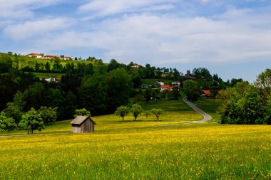 Alanlar, ağaçlar ve köy Laudachsee yolda şehir gmunden görüntüleyin