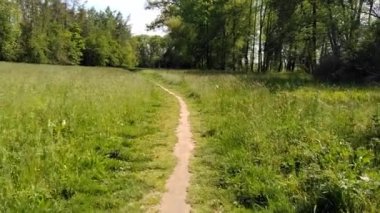 Prag sınırında, Lipany ve Benice arasında ağaçlarla çevrili bir çayırdaki patika.