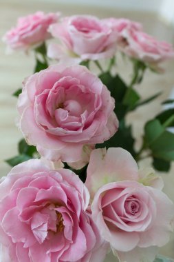 Gül hediye mevcut için 