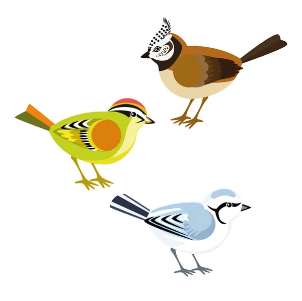 Decoratieve wilde vogels — Stockvector