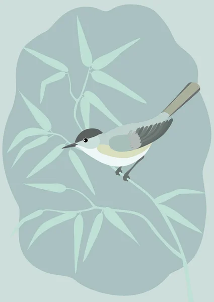Blackcap pájaro en una rama — Vector de stock