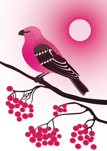 Grosbeak de pino pájaro y racimos de serbal — Vector de stock