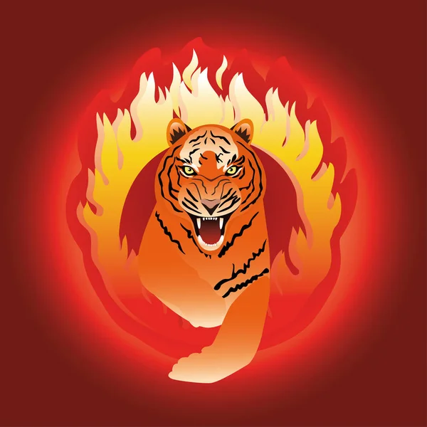 The tiger leaping through fire — Stock Vector