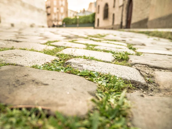 Мощеная булыжником улица с травой, растущей между трещинами — стоковое фото