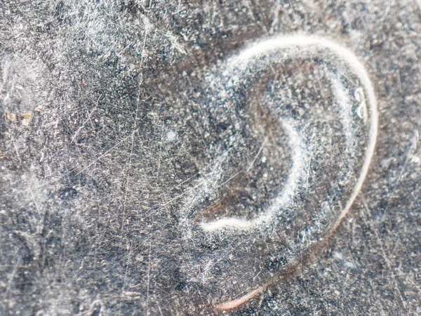Une Image Microscopique Oreille Sur Une Pièce Cents Argent Altérée — Photo