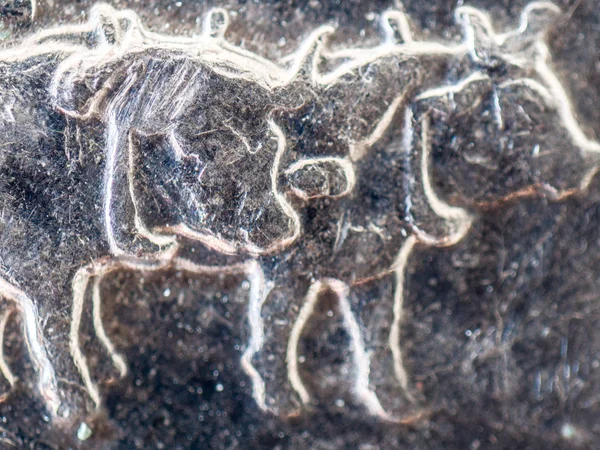 Extreme Closeup Macro Detail Microscopic Image Oxen Pulling Covered Wagon — Stock Photo, Image