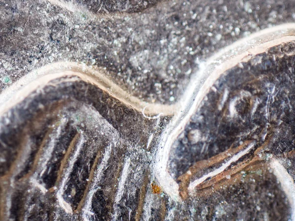 Bir Abd Mikroskobik Bir Görüntüsünü Çeyrek Dolar Para Kel Kartal — Stok fotoğraf