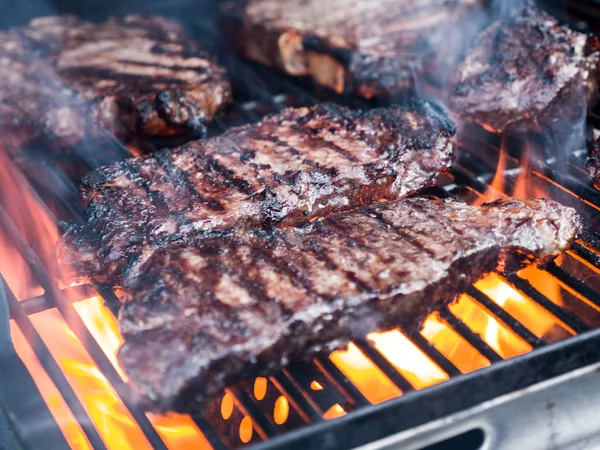Close-up photograph of various cuts of beef including filet mignon and t-bone steak on a gas fire grill for a backyard barbeque.