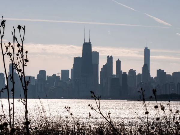 Красивая Панорама Города Чикаго Луга Полевых Цветов Пляже Монтроуз Чикаго — стоковое фото