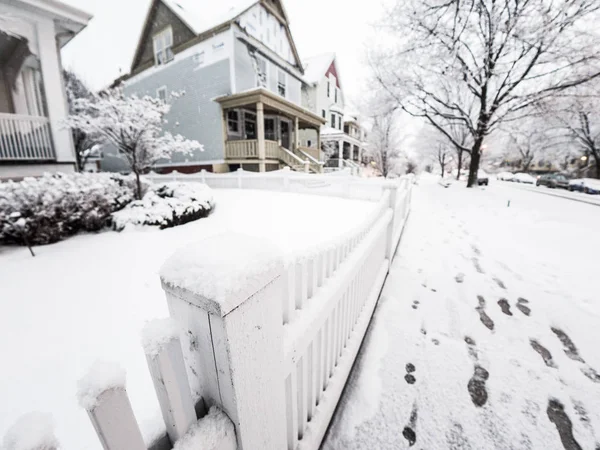 Chicago Şubat 2018 Ağır Kar Taneleri Sonbahar Günü Cumartesi Öğleden — Stok fotoğraf