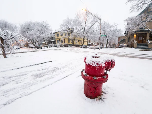 Chicago Şubat 2018 Ağır Kar Taneleri Sonbahar Günü Cumartesi Öğleden — Stok fotoğraf