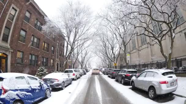 土曜日の午後の木 美しい冬景色を作成するエッジウォーター近所でふわふわの白い雪で家をカバーにシカゴ イリノイ州 2018 重い雪秋 — ストック動画