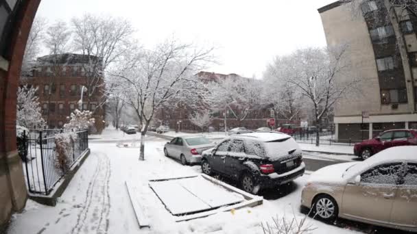 Chicago Fevereiro 2018 Flocos Neve Pesados Caem Tarde Sábado Cobrindo — Vídeo de Stock