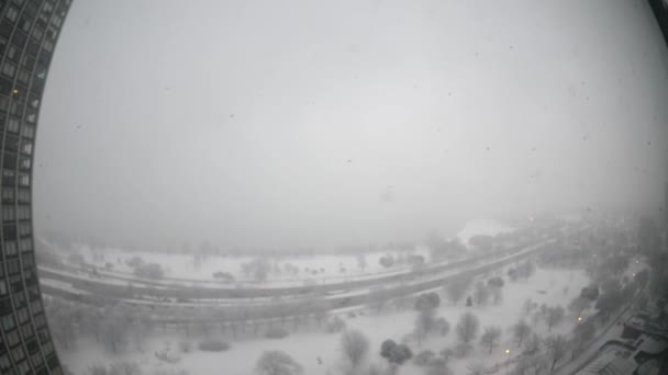 土曜日カバーの木 美しい冬景色を作成するエッジウォーター近所でふわふわの白い雪のミシガン湖シカゴ イリノイ 2018 重い雪秋 — ストック動画