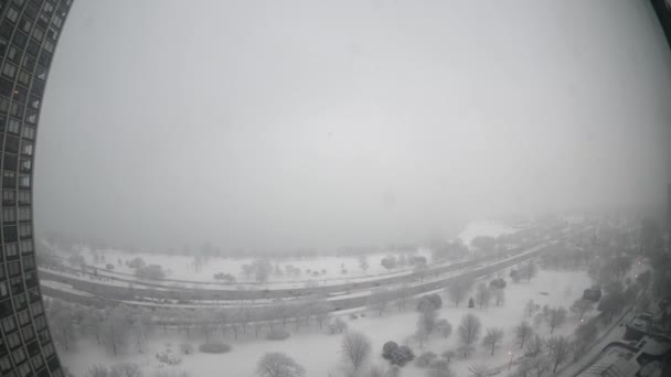 Chicago Fevereiro 2018 Flocos Neve Pesados Caem Sábado Cobrindo Árvores — Vídeo de Stock