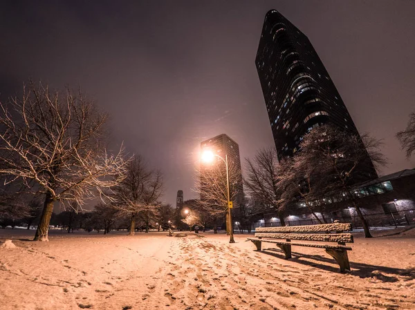 Chicago Febrero 2018 Grandes Copos Nieve Pintan Los Árboles Las —  Fotos de Stock