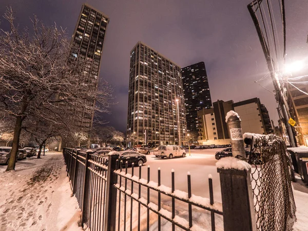 Chicago Fevereiro 2018 Flocos Neve Pesados Pintam Árvores Estradas Chão — Fotografia de Stock