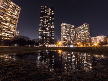 Güzel uzun pozlama gece fotoğraf yüksek doğmak konut kınamak bina ve su birikintisi yansıması ile Chicago içinde ışıklar ve ön plan ve çıplak kış ağaçlar ve ötesinde karanlık gökyüzü yeşil çim.