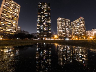 Güzel uzun pozlama gece fotoğraf yüksek doğmak konut kınamak bina ve su birikintisi yansıması ile Chicago içinde ışıklar ve ön plan ve çıplak kış ağaçlar ve ötesinde karanlık gökyüzü yeşil çim.