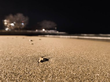 Ağaçların ile gece dalgalar rulo olarak fotoğraf beslemek Plajı'nda Michigan Gölü pürüzsüz soluk kumlu kıyı üzerinde küçük çakıl kadar kapatın.