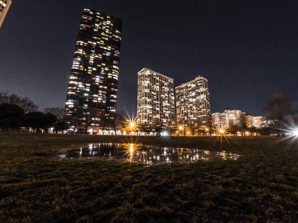 Güzel uzun pozlama gece fotoğraf yüksek doğmak konut kınamak bina ve su birikintisi yansıması ile Chicago içinde ışıklar ve ön plan ve çıplak kış ağaçlar ve ötesinde karanlık gökyüzü yeşil çim.