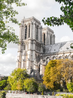 Güzel turistik seyahat fotoğraf dünyasının ünlü ve tarihi Katolik Katedrali Notre Dame de Paris Fransa çerçeveli tarafından gür yeşil ve turuncu yaprak dolu ağaçları ve beyaz bulutlar gökyüzünde yukarıdaki.