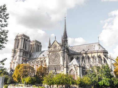 Güzel turistik seyahat fotoğraf dünyasının ünlü ve tarihi Katolik Katedrali Notre Dame de Paris Fransa çerçeveli tarafından gür yeşil ve turuncu yaprak dolu ağaçları ve beyaz bulutlar gökyüzünde yukarıdaki.