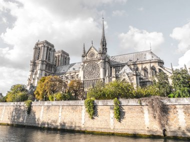 Güzel turistik seyahat fotoğraf dünyasının ünlü ve tarihi Katolik Katedrali Notre Dame de Paris Fransa çerçeveli tarafından gür yeşil ve turuncu yaprak dolu ağaçları ve beyaz bulutlar gökyüzünde yukarıdaki.