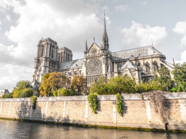 Güzel turistik seyahat fotoğraf dünyasının ünlü ve tarihi Katolik Katedrali Notre Dame de Paris Fransa çerçeveli tarafından gür yeşil ve turuncu yaprak dolu ağaçları ve beyaz bulutlar gökyüzünde yukarıdaki.