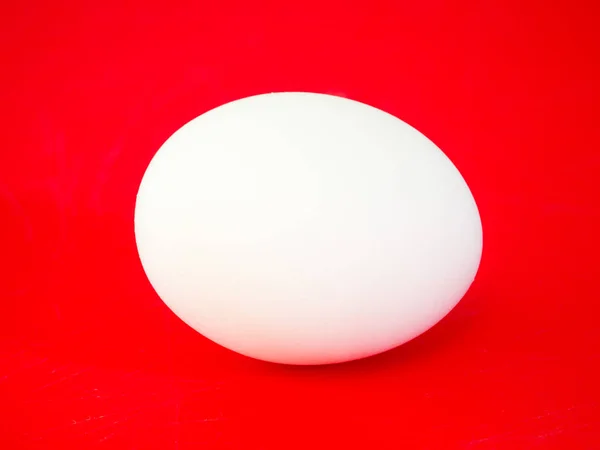 Close Photograph Real Large Plain White Chicken Egg Vibrant Red — Stock Photo, Image