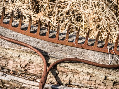 Bir eski aşınmış ve paslı metal Komisyon Başkanı resmi bir yıpranmış kereste günlük ölü çim güzel rustik arka plan görüntüsü yapma bitişik oturan bir tanıtıcı olmadan kapatmak.