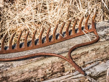 Bir eski aşınmış ve paslı metal Komisyon Başkanı resmi bir yıpranmış kereste günlük ölü çim güzel rustik arka plan görüntüsü yapma bitişik oturan bir tanıtıcı olmadan kapatmak.