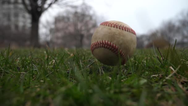 Krátký Zpomalený pohyb poloviční rychlostí 50 % videoklip použité kožené baseball s červenými tkaničkami vyhodil do vzduchu a přistání na zemi trávy, které z Enkhuizen dělat dobré sportovní zázemí — Stock video
