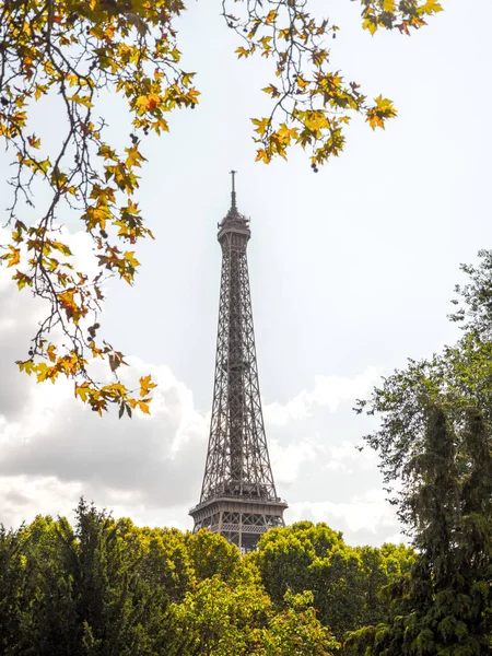 法国巴黎埃菲尔铁塔顶部精美的框式照片 上面挂着精致的树枝 下面是绿色的树梢 天空中有白色蓬松的云彩 — 图库照片