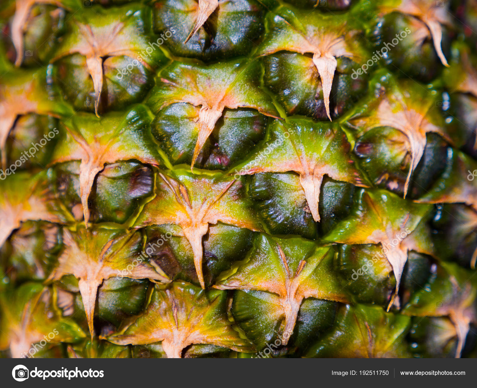 Close Photograph Bumpy Texture Skin Ripe Tropical Pineapple Fruit Making  Stock Photo by ©Jkirsch13 192511750