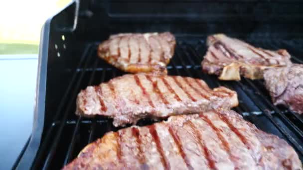 Gros plan clip panoramique de plusieurs steaks de bœuf de viande rouge arrosant la bouche, y compris filet mignon, côtelettes et morceaux de t-bone avec des marques d'omble sur un barbecue à gaz avec des flammes jaunes sous les grilles métalliques . — Video