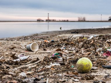 Görünümü bir tenis topu yakın köpek parkı yanı sıra diğer çöp ve renkli mavi ve pembe bulutlar yukarıdaki ile gündoğumu, Chicago sular altında Montrose plaj boyunca yığılı çöp kadar yakın.