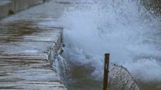 Grote golven crash en ontploffen in de gelaagde concrete barrières en splash op de nabijgelegen wandel oppervlak in de buurt van Foster Beach op een koude winderige dag in de buurt van de Edgewater in Chicago. — Stockvideo