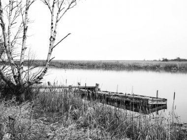 Eski bir ahşap iskele Warroad River Minnesota Muskeg koyunda sakin suya ağaçlar, sazlık, otlar ve uzun kıyı boyunca ile yapışkanlık dışarı güzel pitoresk açık sahne.