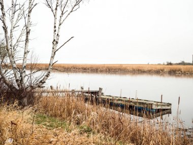 Eski bir ahşap iskele Warroad River Minnesota Muskeg koyunda sakin suya ağaçlar, sazlık, otlar ve uzun kıyı boyunca ile yapışkanlık dışarı güzel pitoresk açık sahne.