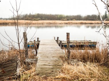 Eski bir ahşap iskele Warroad River Minnesota Muskeg koyunda sakin suya ağaçlar, sazlık, otlar ve uzun kıyı boyunca ile yapışkanlık dışarı güzel pitoresk açık sahne.