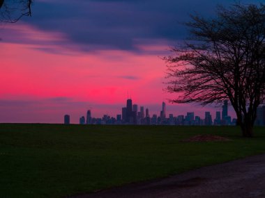 Güzel bir doymuş ve çim ve ağaçların ön planda ile Chicago manzarası üzerinden canlı pembe ve mor günbatımı ayarlar.