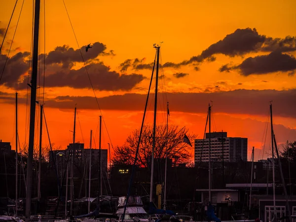 鮮やかなカラフルなオレンジと黄色の色のゴージャスな夕日空の上雲し ボートのモントローズ シカゴ港で水の反映 — ストック写真