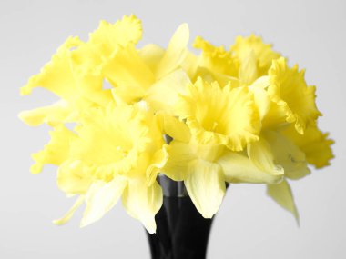 Bir buket ile diğer renkler güzel çiçek arka plan resmi yapma doymamış bir cam vazoda sarı nergis çiçek closeup makro fotoğraf.