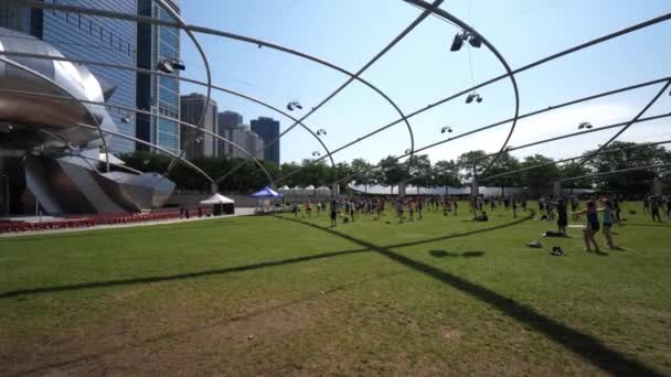 Chicago July 2019 대규모의 사람들 밀레니엄 잔디밭에서 수업을 모인다 — 비디오