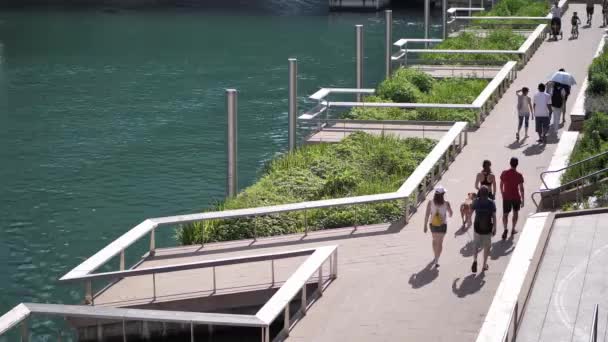 Chicago Juli 2019 Människor Springer Cyklar Och Går Längs Stadens — Stockvideo