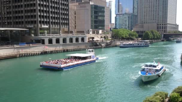 Chicago Julho 2019 Shoreline Sightseeing Outros Barcos Turísticos Descem Movimentado — Vídeo de Stock