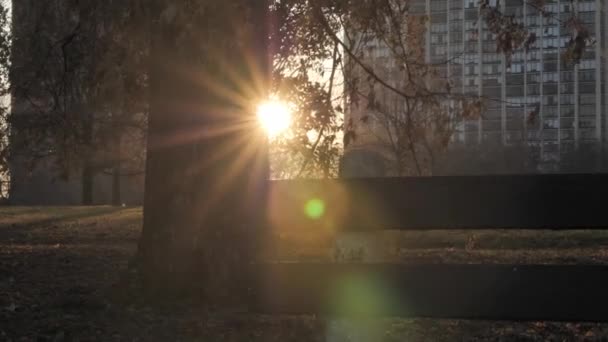 Gros Plan Panoramique Vertical Ralenti Banc Parc Avec Soleil Couchant — Video