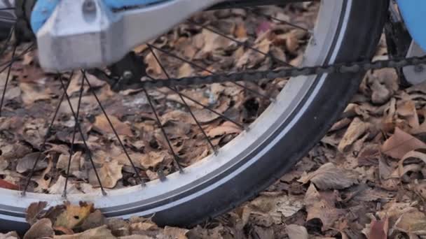 Чикаго Штат Иллинойс Ноября 2019 Года Хорошо Используемый Синий Велосипед — стоковое видео